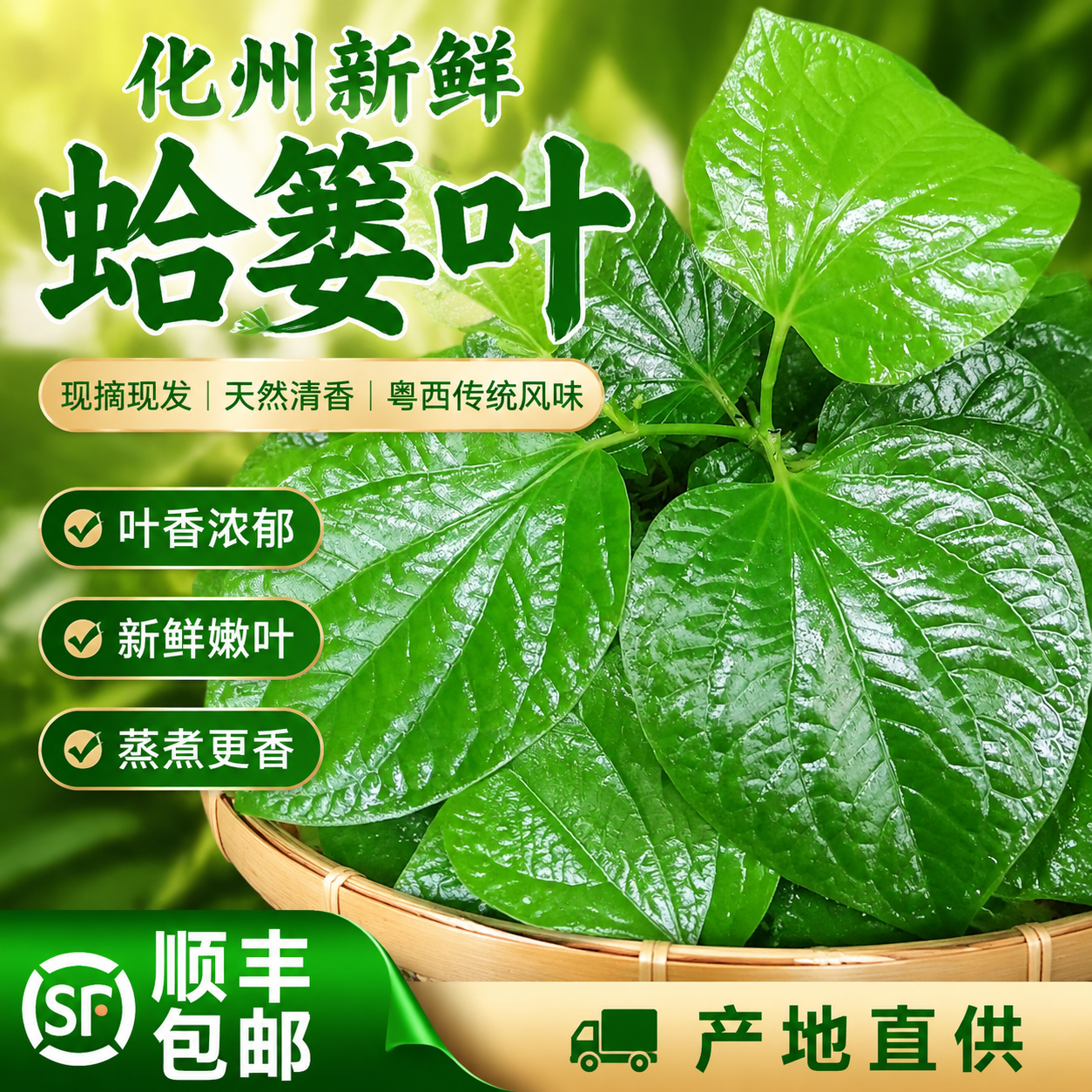 广东野菜新鲜带根叶蛤篓叶槟榔山篓叶蛤捞叶假蒌叶哈喽叶急捞顺丰