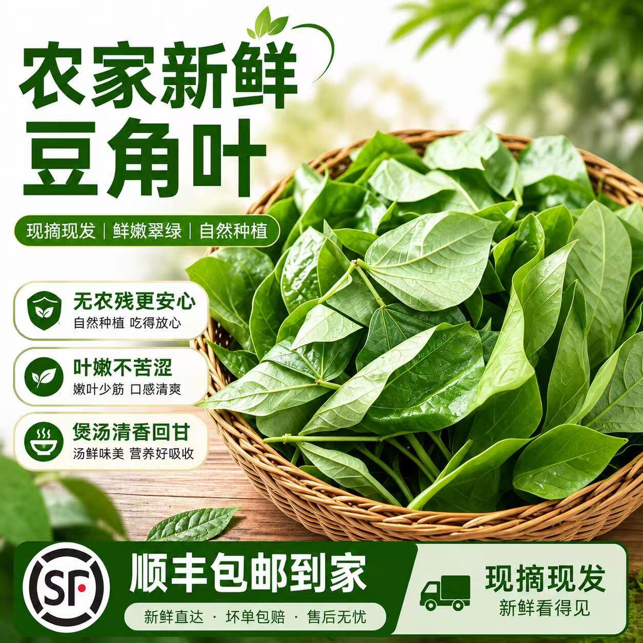 广东茂名豆角叶新鲜现摘长豆角叶农家菜园自种新鲜现发蔬菜豆角叶