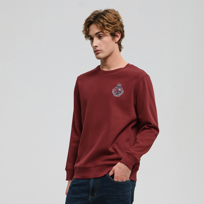 Polovillae/保罗威特2025秋冬潮流圆领长袖男装休闲运动卫衣t恤