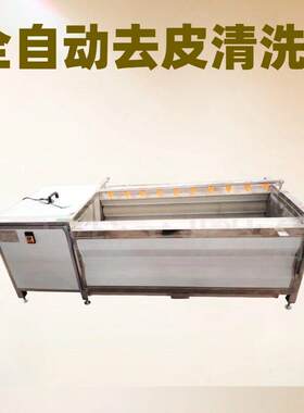 山牛蒡洗泥沙去皮全自动毛辊清洗机 海产品扇贝牡蛎去泥设备