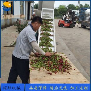 全自动毛豆风选机 大型辣椒风选设备 中药材玉米分选机器