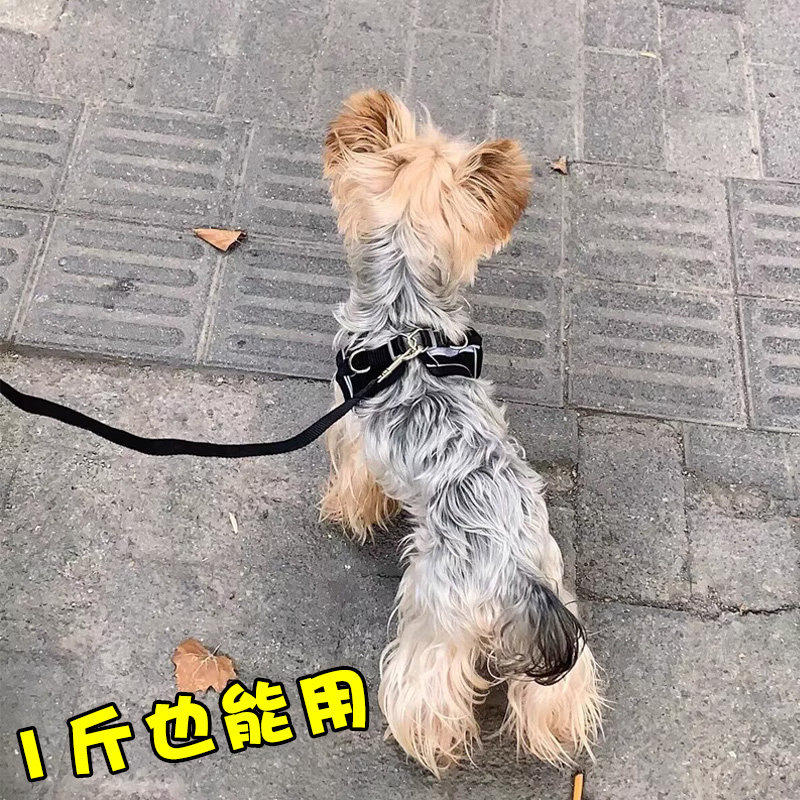 超小体犬约克夏专用牵引绳小狗狗奶狗一斤遛狗绳子胸背带幼犬用品