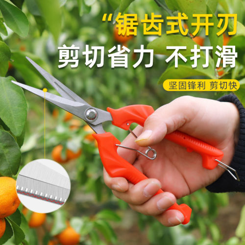 葡萄剪花椒采摘剪刀采果剪子弹簧