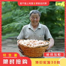 正宗天然散养土鸡蛋新鲜草鸡蛋农村自养月子蛋放养无菌初生蛋30枚