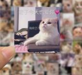50张甜蜜恋爱女朋友亲亲猫咪表情包贴纸网红卡通可爱装 饰手账贴纸