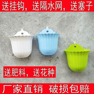 绿萝吊兰花盆半圆花盆挂墙花盆挂式 壁挂花盆彩色挂壁 花盆送挂钩