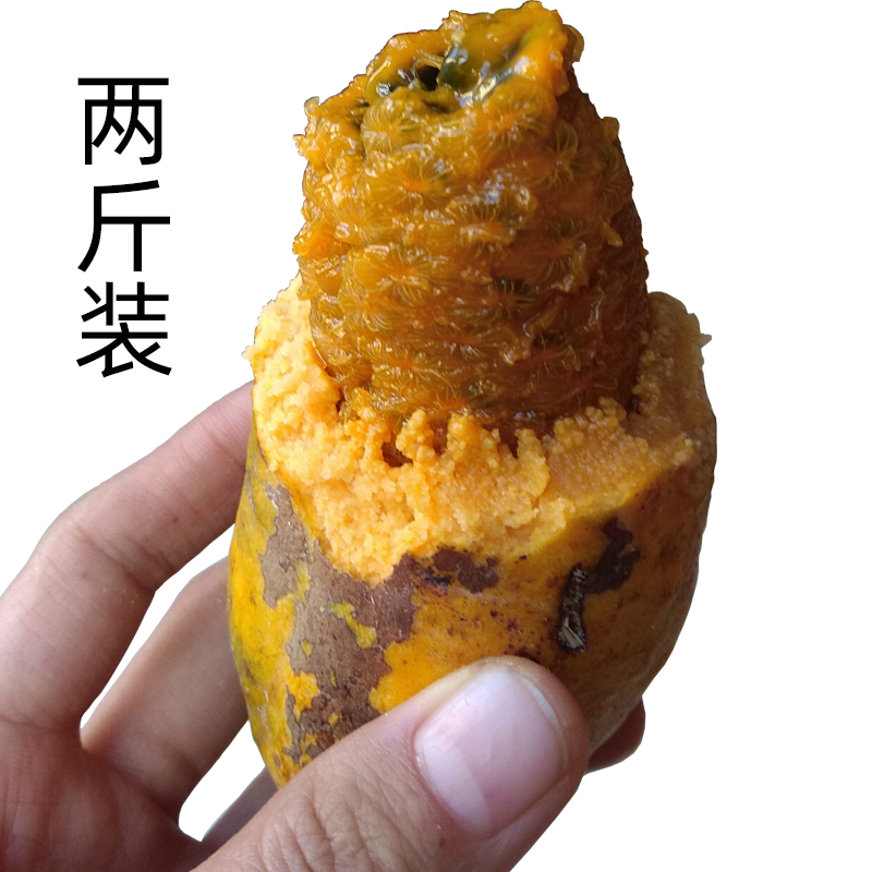 九月黄野果牛哈卵坨八月瓜木通果