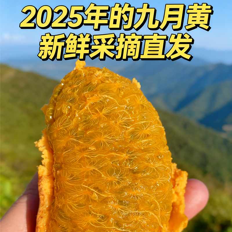 2斤新鲜现摘野生水果8月炸八月瓜