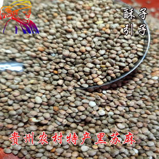贵州特产2022年新酥麻籽油性苏子农家种生酥麻黑苏麻引子好苏麻籽