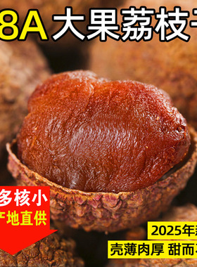 福建莆田荔枝干零食新货68A特级大果500g*2无熏硫农家特产荔枝肉