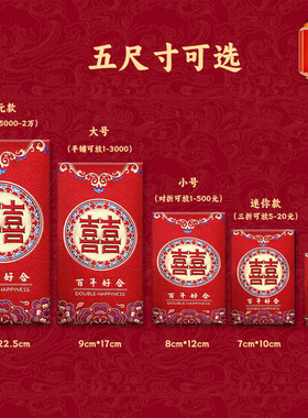 结婚红包专用大中小新婚订婚通用新年过年利是封迷你红包磨砂硬纸