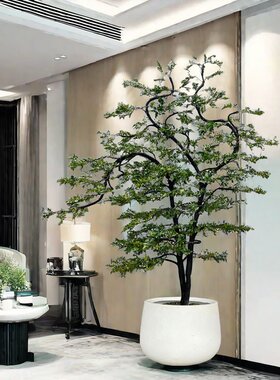 小叶紫檀盆景造型老桩黑骨茶盆栽客厅办公室绿植室内外好养植物