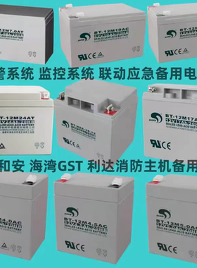 海湾GST松江利达天成泰和安消防报警主机电池EPS备用蓄电池BT-12M