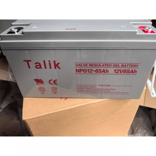 Talik蓄电池NPG12-65AH免维护12V65AH直流屏UPS电源消防主机专用