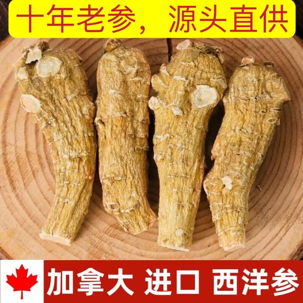 进口加拿大西洋参粒头正宗加拿大进口花旗参短枝参片打粉3到5克