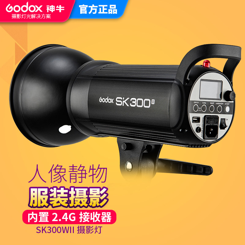 神牛SK300W 二代影室闪光灯单灯摄影灯 摄影棚人像 大型家居拍照