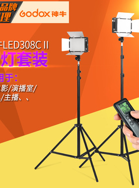 神牛摄像灯LED308C二代 摄影补光灯两灯套装演播室微电影主播婚庆