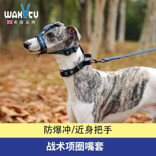 Wakytu英国狗狗牵引绳 中大型犬宠物项圈遛狗绳栓狗绳可调节嘴套