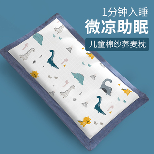 儿童枕头3岁以上四季通用宝宝荞麦6决明子7小孩吸汗枕幼儿园专用