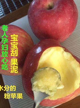 2025新果粉面沙甜苹果
