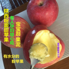 新鲜粉面沙甜苹果宝宝刮泥婴儿老人吃的棉绵水果5斤非蛇果
