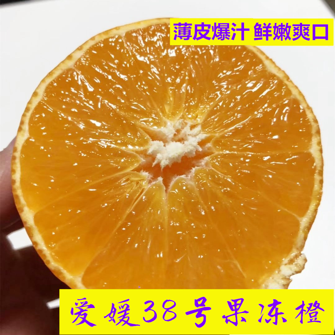 爱媛鲜缤果汇0-8°5斤四川蜜甜