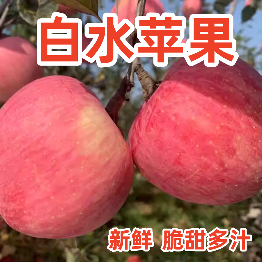 陕西白水脆甜多汁包邮红富士苹果