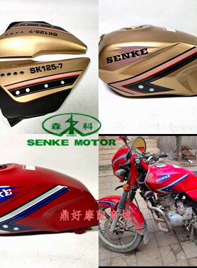 森科摩托车原厂配件SK125-7-5千禧豹防钻豹油箱侧盖边盖电池盖
