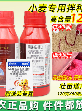 苯醚咯菌腈噻虫嗪 水稻花生马铃薯小麦专用拌种剂防虫防病种衣剂