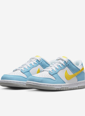 Nike/耐克正品Dunk Low新款女子运动耐磨低帮休闲板鞋 DX3382-400