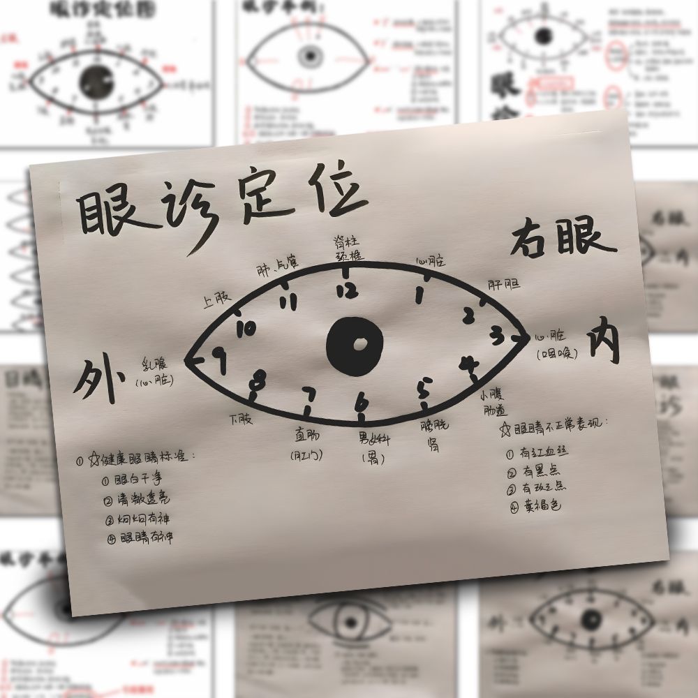 【眼部诊断】医学生眼诊笔记贴纸中医养生学霸笔记笔记本手账贴画