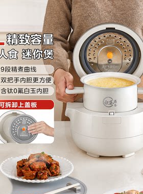 美的小企鹅电饭煲一人食2升迷你