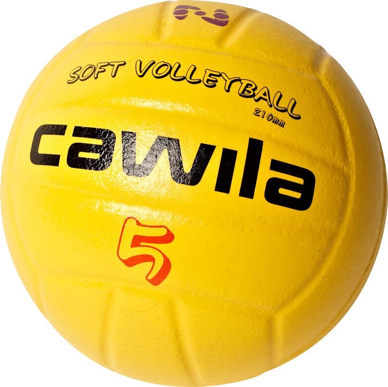 Ballon de volley - Ref 2010631 Image 1