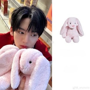 部分现货 韩国代购韩维辰同款兔娃ZB1粉红兔可爱玩偶维辰同款礼物