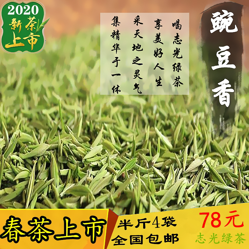 2026年明前新茶胶特级春250G春茶图片