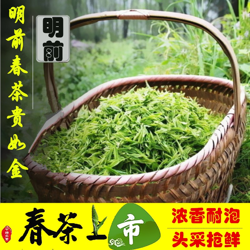 海青特级胶南碧螺春250g绿茶叶