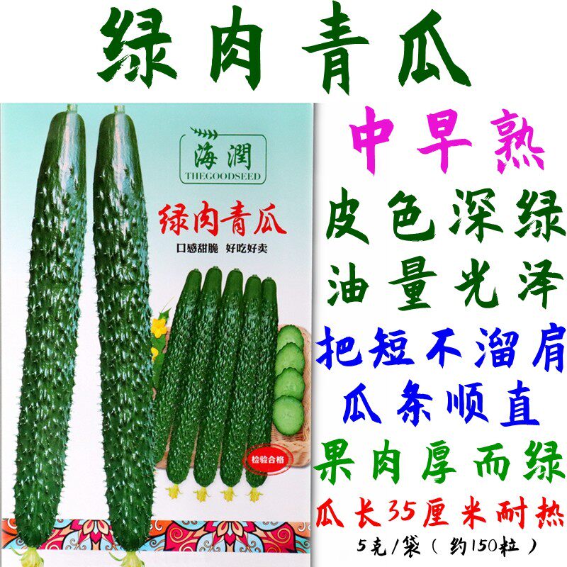 黄瓜种子绿肉青瓜中早熟深绿油亮把短肉厚绿色耐高温瓜条顺直高产