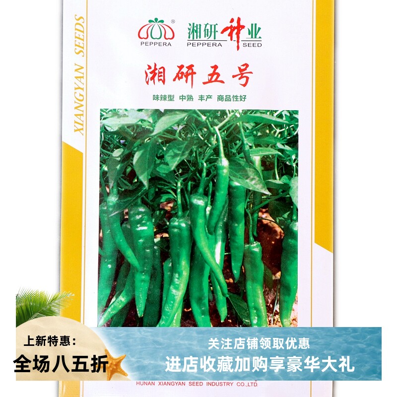 湘研辣椒种子中熟湘研五号湘研十五号果实长牛角形辣而不烈辣味型