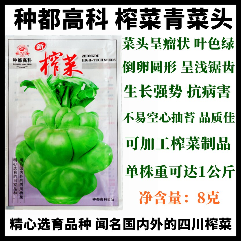 青菜种子种都高科榨菜种子