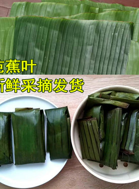 思乡味品广西芭蕉叶新鲜