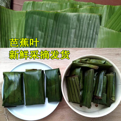 思乡味品广西芭蕉叶新鲜