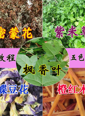 广西五色糯米饭植物枫密蒙花寿司