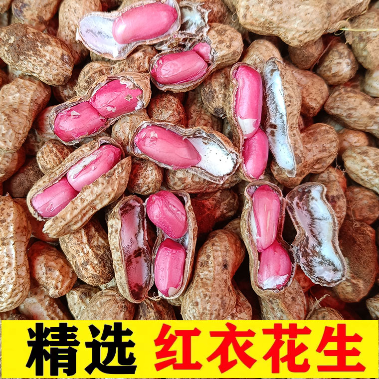 2024年广西生花生5斤红皮花生
