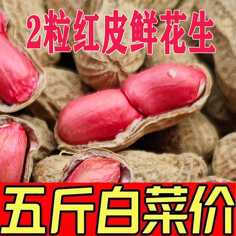 2024年新鲜湿花生5斤生花生带壳红皮花生米精选现挖广西农家自种