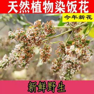 2025年黄饭花新货500g密蒙花天然植物染料广西五色糯米饭枫香叶