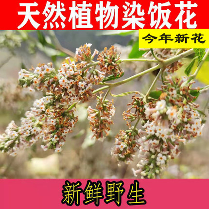 2025年黄饭花新货500g密蒙花天然植物染料广西五色糯米饭枫香叶