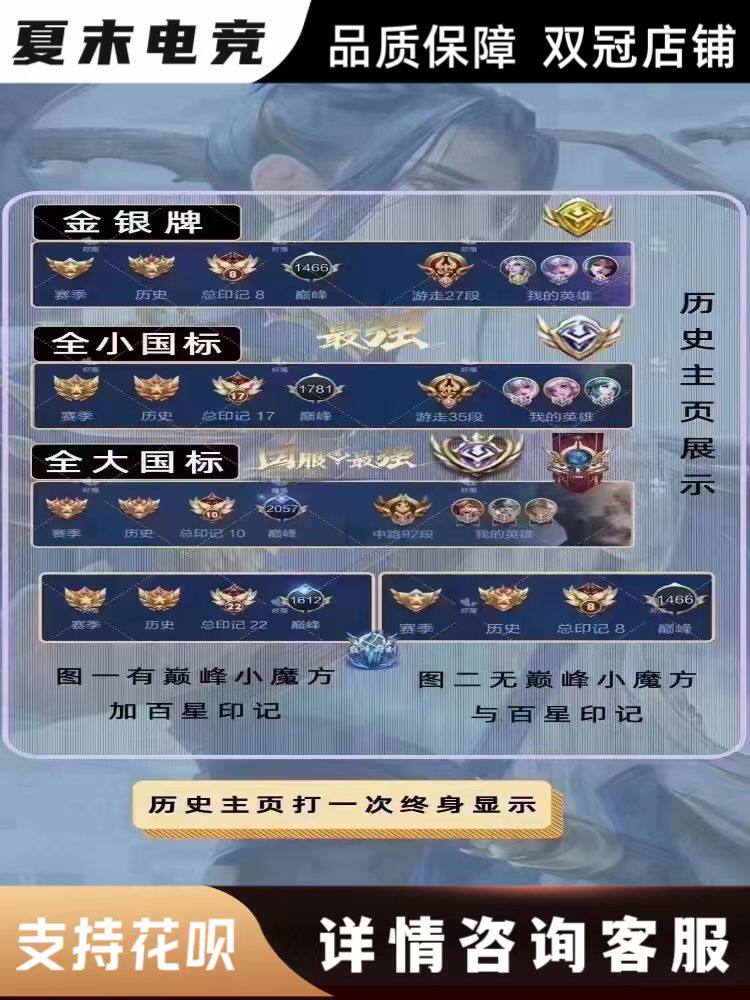 王者荣耀代练巅峰排位战力省标小游戏代练（新）