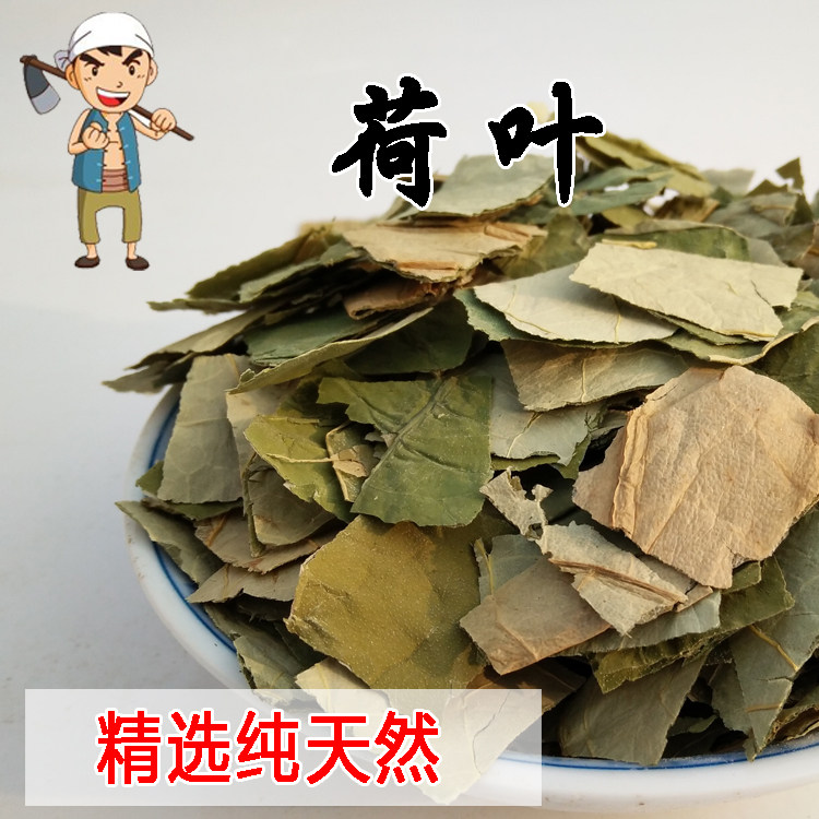 新鲜荷叶块200g 纯天然原生荷叶