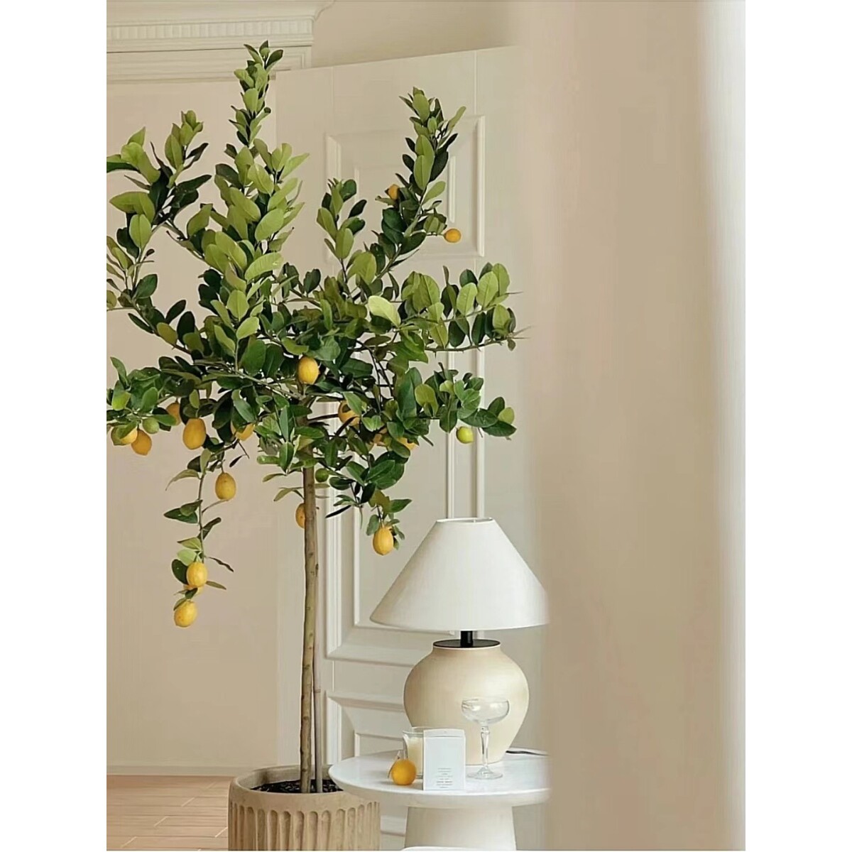 香水柠檬树盆栽 锦叶柠檬带花带果 大型室内绿植 棒棒糖造型ins风
