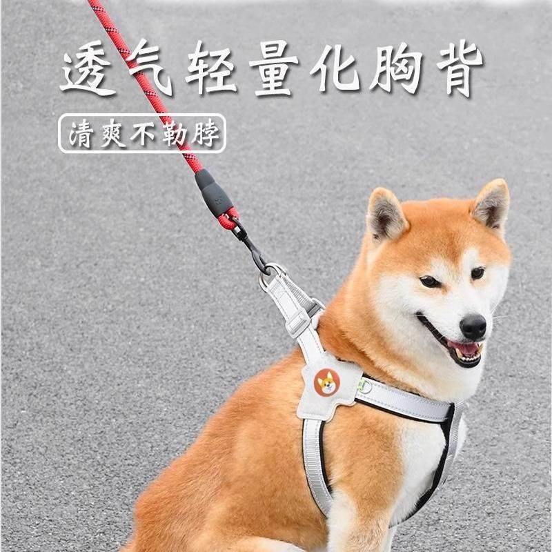 狗狗牵引绳胸背带背心式宠物遛狗绳中小型柴犬柯基比熊泰迪狗链子,宠物/宠物食品及用品,猫牵引绳,淘宝优惠券,粉丝福利购,淘宝优惠卷